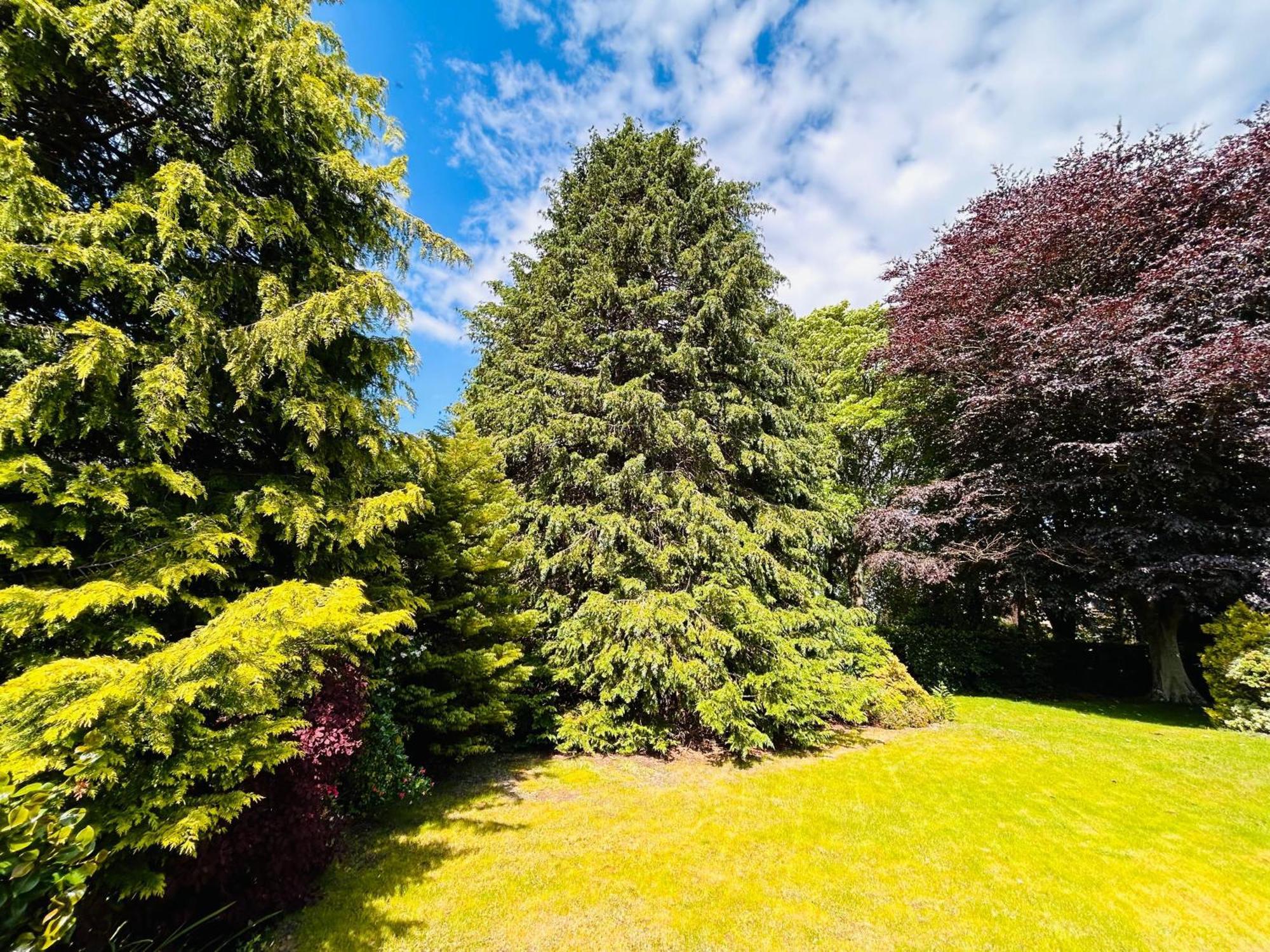 Vila Longbank Luxury Lets Ayr Exteriér fotografie
